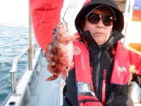 遊漁船 幸友丸 釣果