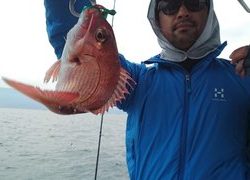 愛裕南丸 釣果