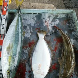 明神釣船 釣果