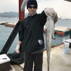 本部釣りイカダ 釣果