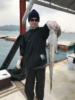 本部釣りイカダ 釣果