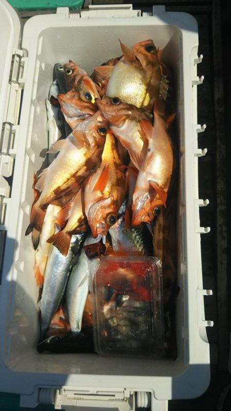 モンロー号 釣果