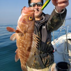 武士(SAMURAI) 釣果