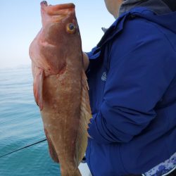 武士(SAMURAI) 釣果