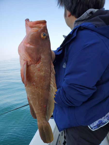 武士(SAMURAI) 釣果