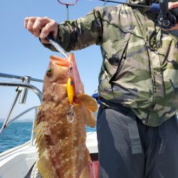 武士(SAMURAI) 釣果