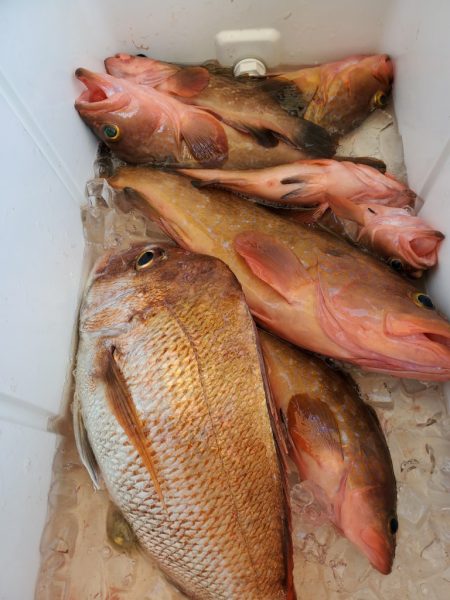 武士(SAMURAI) 釣果