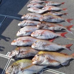 飛燕さくら丸 釣果