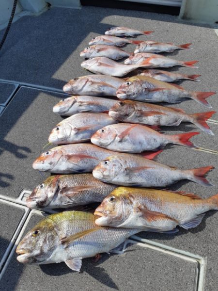 飛燕さくら丸 釣果