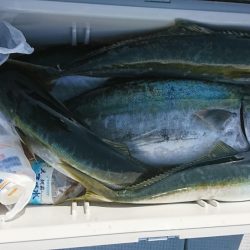 海龍丸(福岡) 釣果