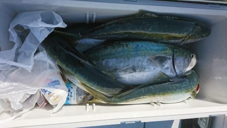 海龍丸(福岡) 釣果