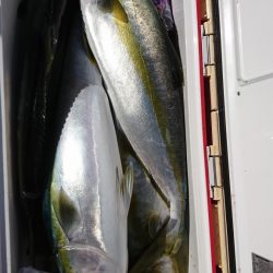 海龍丸(福岡) 釣果