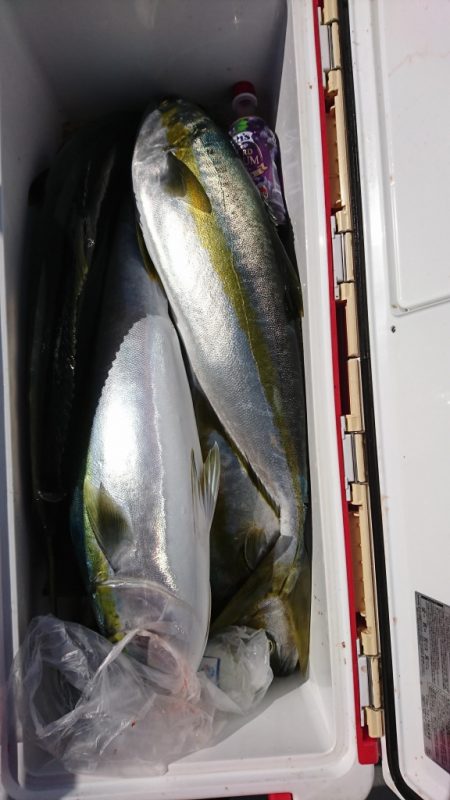 海龍丸(福岡) 釣果