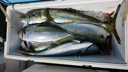 海龍丸(福岡) 釣果