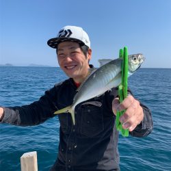 マタウマリンサービス 釣果