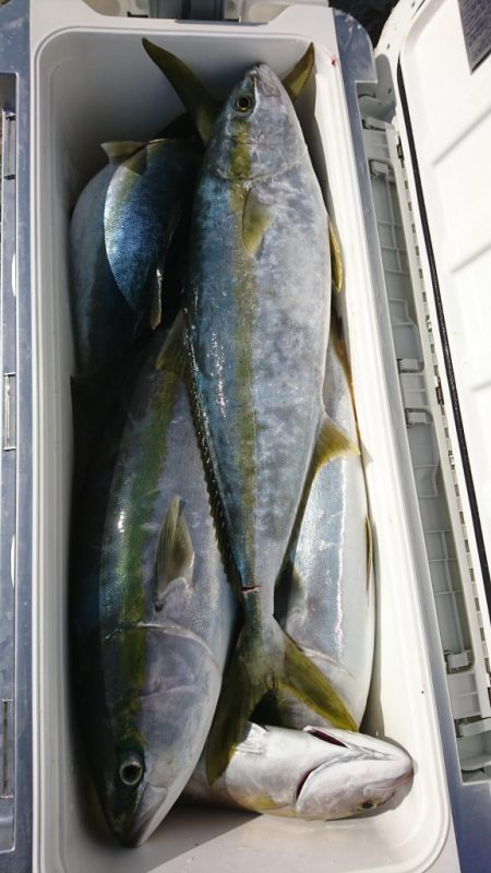 海龍丸(福岡) 釣果