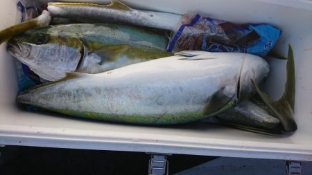 海龍丸(福岡) 釣果