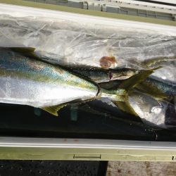 海龍丸(福岡) 釣果