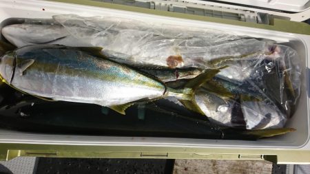 海龍丸(福岡) 釣果