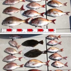 来温丸（らいおんまる） 釣果