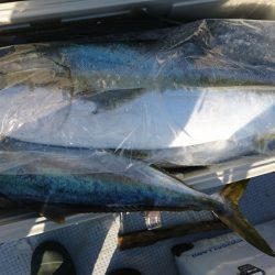 海龍丸(福岡) 釣果