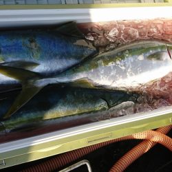 海龍丸(福岡) 釣果