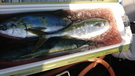 海龍丸(福岡) 釣果