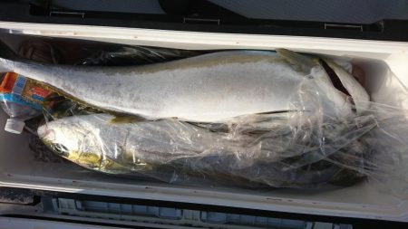 海龍丸(福岡) 釣果