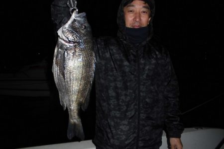 ルアー船マヒマヒ 釣果