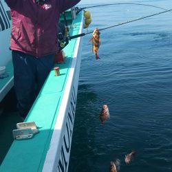 モンロー号 釣果