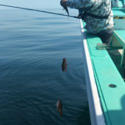 モンロー号 釣果