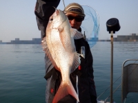 遊漁船 幸友丸 釣果