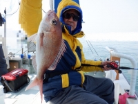 遊漁船 幸友丸 釣果