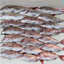 松本釣船２ 釣果