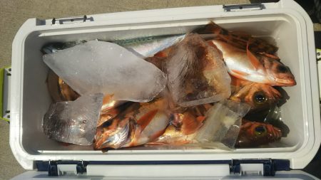 モンロー号 釣果