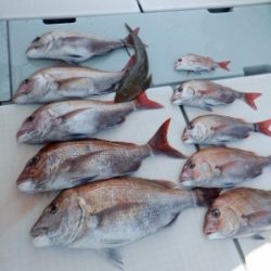 遊漁船 幸友丸 釣果