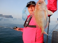 遊漁船 幸友丸 釣果