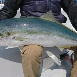 海龍丸(福岡) 釣果