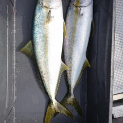 海龍丸(福岡) 釣果