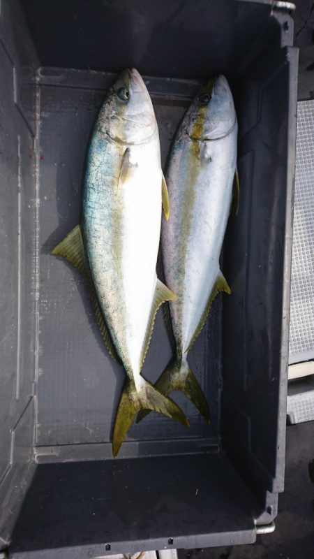 海龍丸(福岡) 釣果