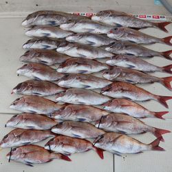 松本釣船２ 釣果