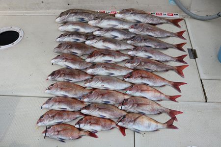 松本釣船２ 釣果