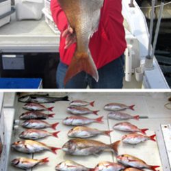 来温丸(らいおんまる) 釣果