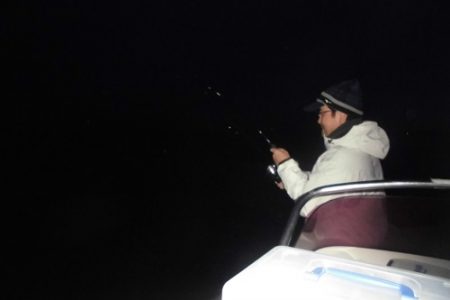 ルアー船マヒマヒ 釣果