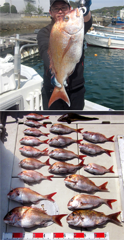 来温丸（らいおんまる） 釣果