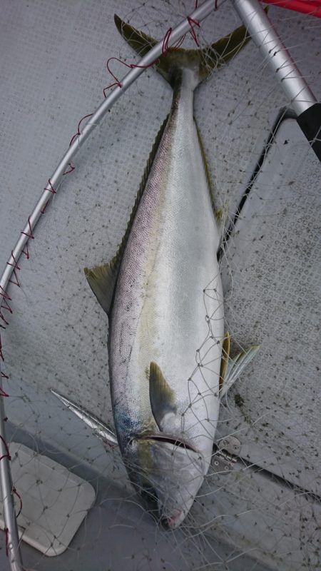 海龍丸（福岡） 釣果