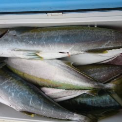 海龍丸（福岡） 釣果