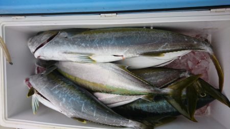 海龍丸（福岡） 釣果