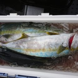 海龍丸（福岡） 釣果