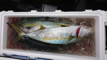 海龍丸（福岡） 釣果